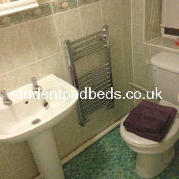 Downstairs shower room
